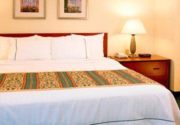Residence Inn Atlanta Perimeter Center Sandy Springs Room photo